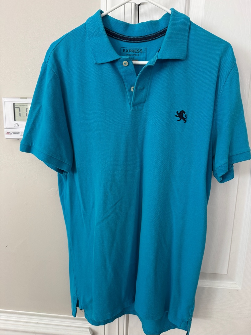Express Men’s Teal Blue Polo with Embroidered Lion Logo